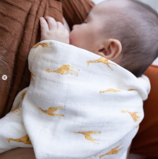 baby swaddle